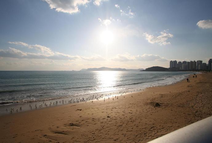 Busan Dalmaji Hotel מראה חיצוני תמונה